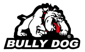 Bully Dog 1