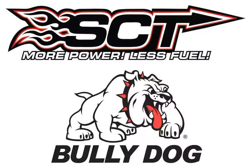 SCT and Bully Dog
